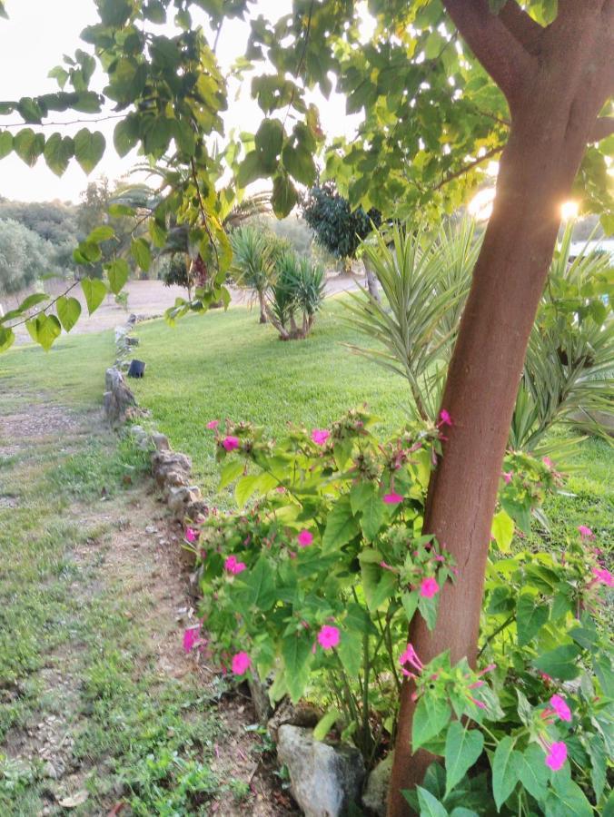 Santarém Quinta Da Perdiz Country Houseヴィラ エクステリア 写真