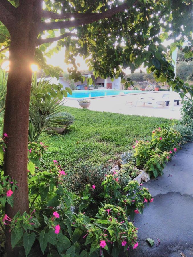 Santarém Quinta Da Perdiz Country Houseヴィラ エクステリア 写真