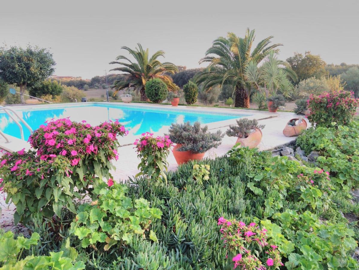 Santarém Quinta Da Perdiz Country Houseヴィラ エクステリア 写真